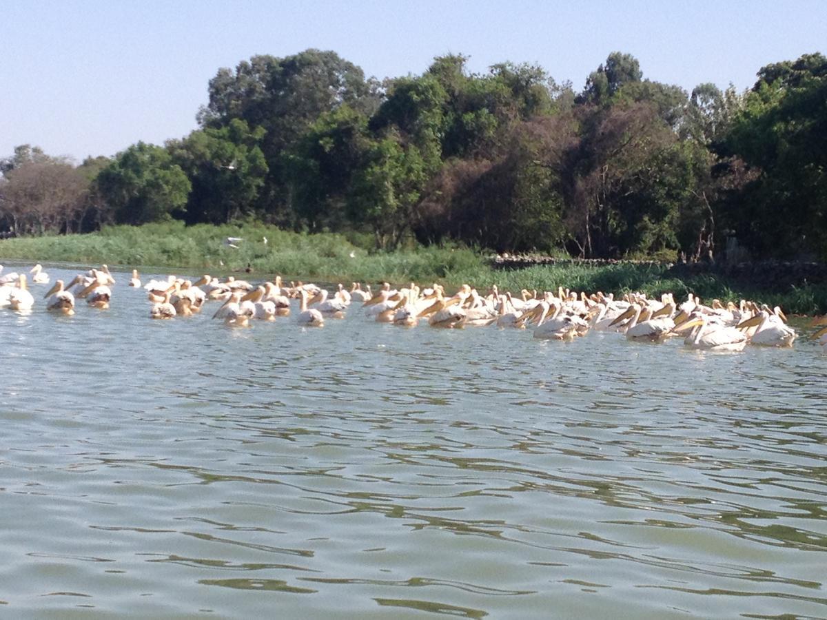 Lakemark Hotel And Tour Service Bahir Dar Exteriér fotografie
