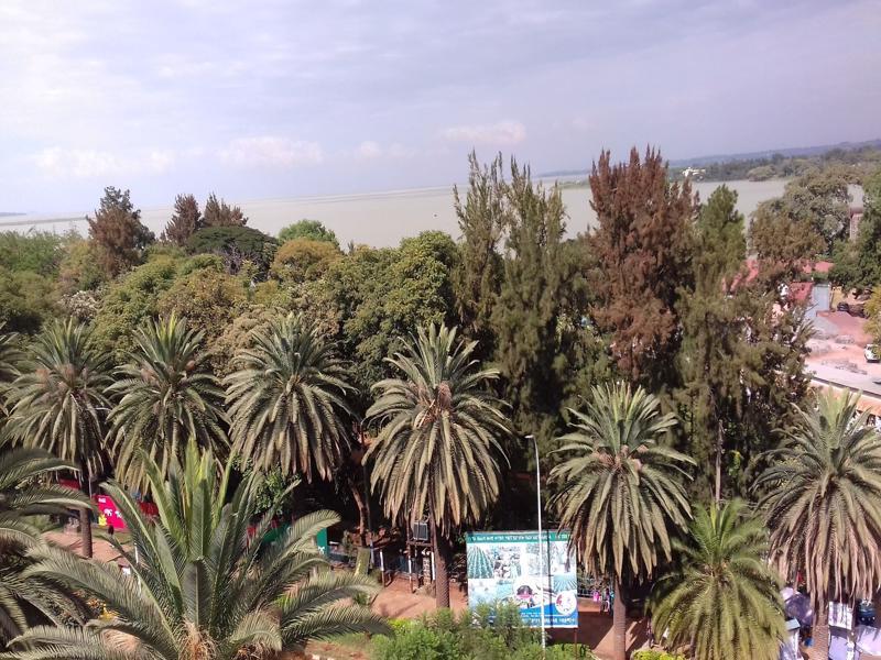 Lakemark Hotel And Tour Service Bahir Dar Exteriér fotografie
